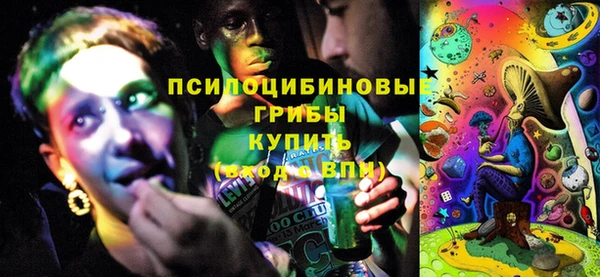 МДПВ Абдулино