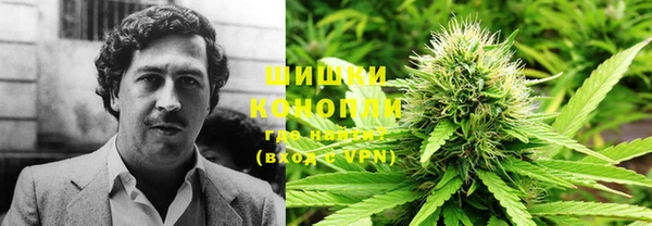 МДПВ Абдулино