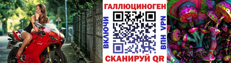 Галлюциногенные грибы Psilocybe  Новоалтайск 